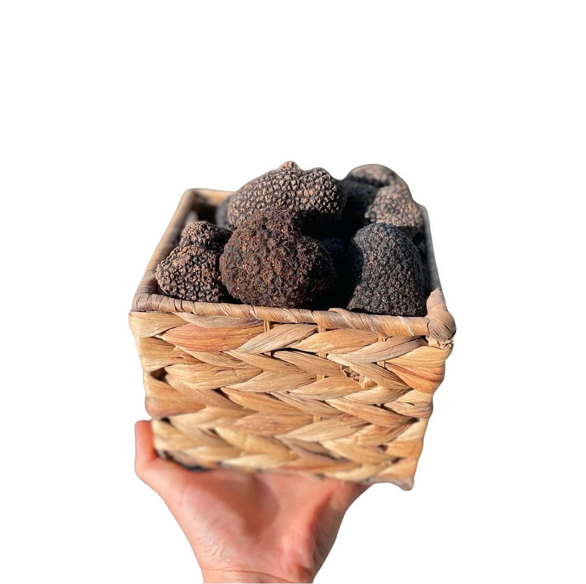 EVERYTHING TRUFFLES