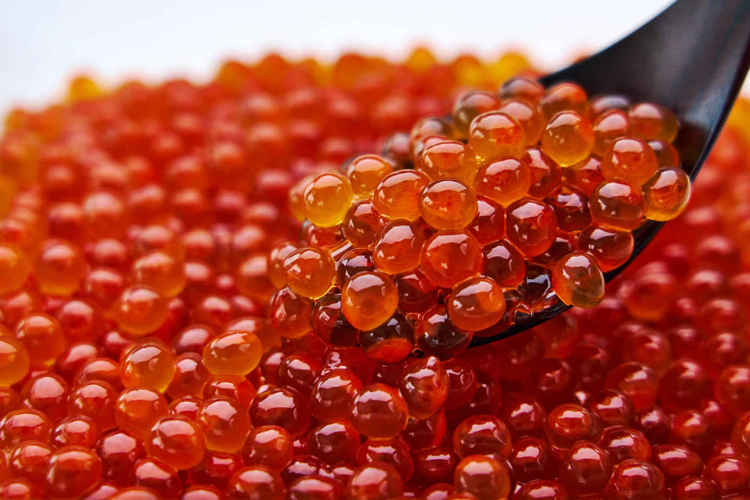 Gourmet Fish Roe Ikura Caviar Canada