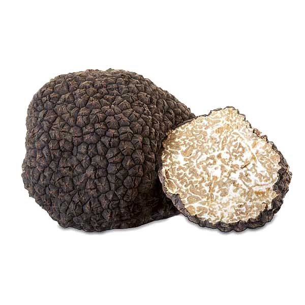 Tuber Aestivum - Black Summer Truffle - The Truffle House