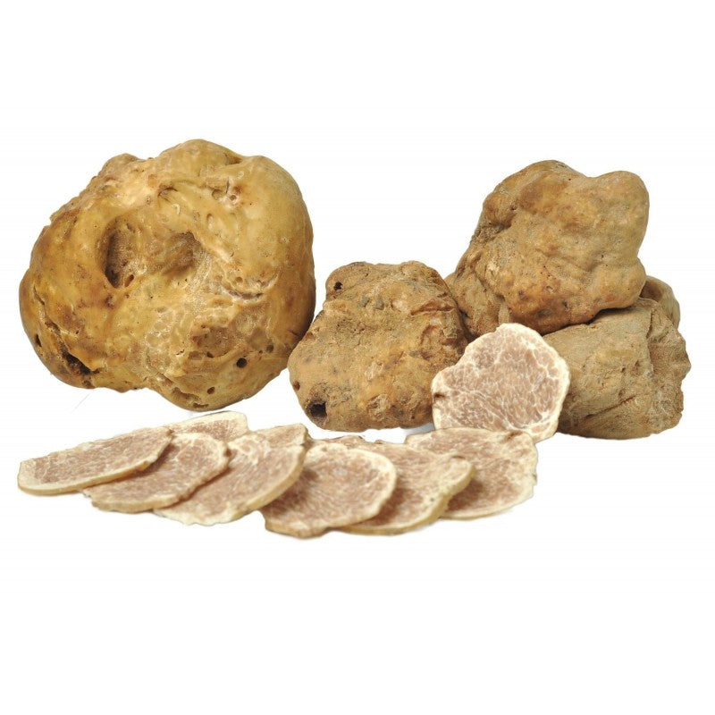 Tuber Magnatum Pico – Alba White Truffle - The Truffle House