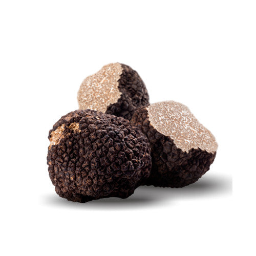 Tuber Uncinatum – Burgundy Truffles - The Truffle House